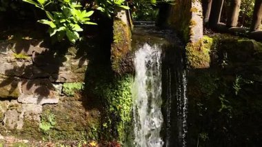 Yeşilliklerle çevrili küçük şelale.