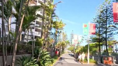 Güneşli, palmiye ağaçlarıyla kaplı bir bulvarda yürümek