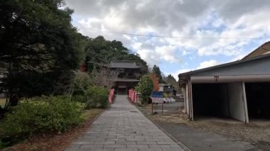 Torii kapısı olan bir tapınağa doğru yürüyen kişi.