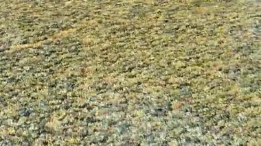 Tayland 'ın Phuket kentindeki çakıl taşı kaplı gölet yüzeyinde dinamik desenler oluşturan rüzgar dalgalarının havadan görünüşü