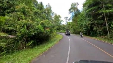 Bereketli orman yolunda manzaralı bir gezinti.