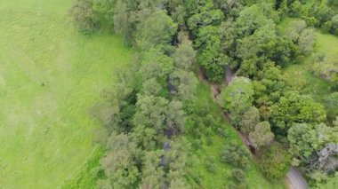 İnsansız hava aracı görüntüleri Tullebudgera, Gold Coast 'ta canlı yeşillik ve dolambaçlı yollar yakalıyor. Parlak gün ışığı huzurlu manzarayı güzelleştirir.