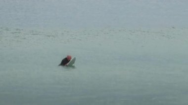 Avustralya 'da sörf yapan bir adam.