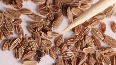 Tahta bir aletle tohumların laboratuvar ortamında yakından incelenmesi, doku ve detay vurgulanması