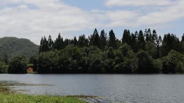 Sakin bir göl ve yemyeşil bir orman.