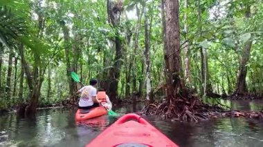 Krabi 'de kanoyla yemyeşil mangrovları keşfediyorum.