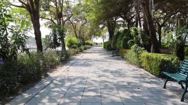 Huzurlu, sakin bir parkta yürürken