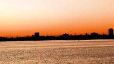 Bir martı, Melbourne 'da canlı bir günbatımına karşı zarif bir şekilde denizin üzerinde uçar. Huzurlu ve pitoresk bir manzara yaratır.