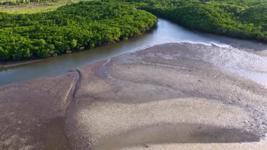 İnsansız hava aracı, yumuşak doğal ışık altında Avustralya, Port Douglas 'taki yemyeşil mangrovları ve dolambaçlı nehri yakalar.