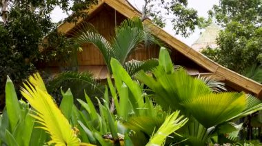 Titreyen tropikal bitkilerin arasına yerleşmiş sakin bir Tayland evi. Yeşillik üzerine odaklanarak gün ışığında ele geçirilmiş.