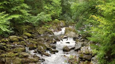Etrafı yemyeşil şelalelerle çevrili.
