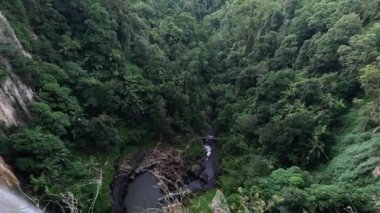 Yeşil, yemyeşil bir kanyon manzarası.