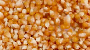 Altın patlamış mısır çekirdekleri, parlak ışık altında dokuyu ve hareketi vurgulayarak yakın çekim görüntüsünde şelale oluşturur.