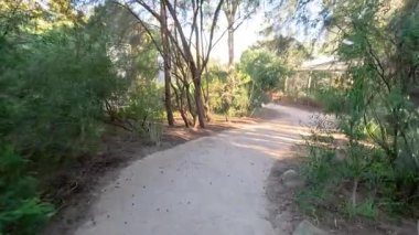 Bereketli, gölgeli bir hayvanat bahçesi yolunda yürüyorum