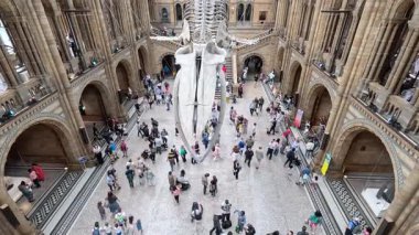 Ziyaretçiler balina iskeleti sergisini keşfediyorlar