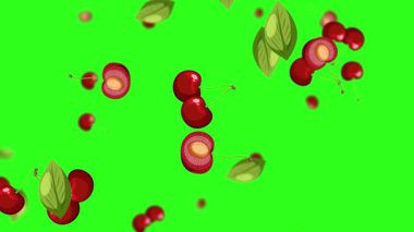 Yeşil zemine düşen kiraz ve yapraklar