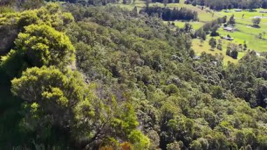 Gündüz vakti Avustralya, Nimbin 'deki yemyeşil ve kayalık kayalıkları görüntüler.