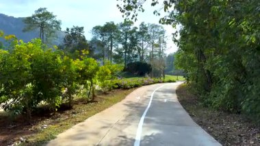 Bereketli bir yeşilliğin içinde huzurlu bir yürüyüş