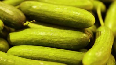 Sıcak ışıklandırma ve odaklanmış kompozisyonu olan bir pazar ortamında yığılmış canlı yeşil salatalıkların yakın çekim videosu