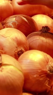 Bir el, süpermarket ortamında sıcak ışık altında sarı soğanları inceliyor ve dikkatli bir seçim hissi veriyor.