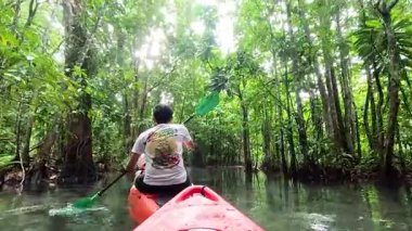 Serin, yeşil bir su yolunda kürek çekiyorum.