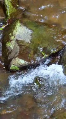 Sakin bir dere, yosun kaplı kayaların üzerinden akar. Yumuşak su hareketi ve hafif ışıklandırmayla sakin bir doğal manzara yaratır.