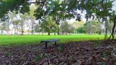 Ağaçların altında bir bank olan sakin bir park sahnesi, Avustralya Gold Coast 'ta doğal güzellik ve sakinlik sergiliyor.