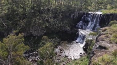 Güzel şelaleler yemyeşil bir ormanda çağlıyor.