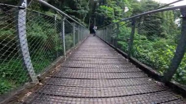 Yağmur ormanlarındaki asma köprüde yürüyen bir adam doğal ışıklandırma ve dingin ortam ile ağır çekimde yakalanır.