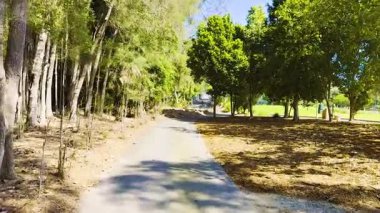 Huzurlu bir yürüyüş orman yolunda