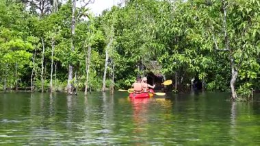 İki kişi yemyeşil bir çevrede kayak yapıyor.