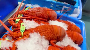 Istakoz, yengeç ve istiridye.