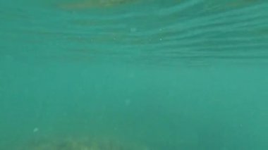 Yanui Sahili 'ndeki kaya havuzlarının sualtı keşfi, canlı deniz yaşamı ve berrak turkuaz suları sergiliyor.