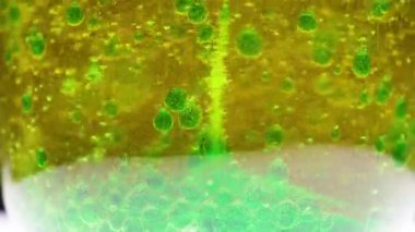 Asit kabartma tozuyla tepkimeye girince kabarcıklar oluşur.