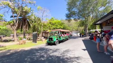 Ziyaretçiler hayvanat bahçesinde tramvay turunun keyfini çıkarıyorlar