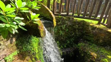 Damıtıcıdaki yosunlu kayaların üzerinden akan su