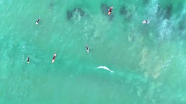 Okyanus Korusu, Avustralya 'da turkuaz dalgalarda sörf yapan sörfçüleri görüntüler. Parlak gün ışığı dalgalı denizi ve dinamik hareketi güçlendirir.