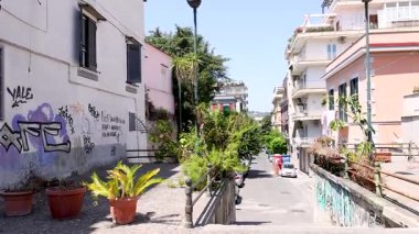 Bitkiler ve grafitilerle dolu sakin bir sokak.