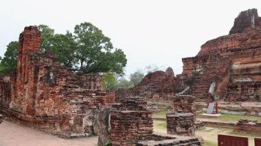 Turistler Ayutthaya, Tayland 'daki antik tapınak kalıntılarını keşfediyorlar