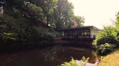 Serene göleti yemyeşil ile çevrili