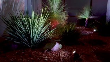 Canlı ışıklar, sakin bir bahçe sahnesini aydınlatıyor.