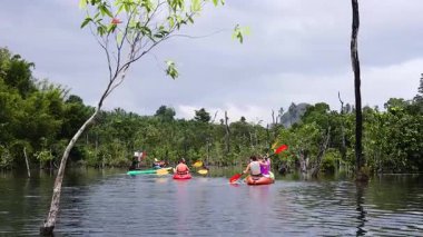 Kayakçılar Krabi 'de sakin bir kanalda yol alırlar.