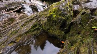 Akan şelale yemyeşil ormanın ortasında