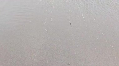 Dalgalar yavaşça kumlu kıyıya yaklaşıyor