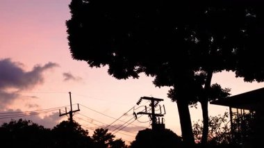 Siluetli ağaçlar ve elektrik hatları canlı bir Phuket günbatımına karşı. Gökyüzü pembeden mora dönüşür ve dingin bir atmosfer yaratır.