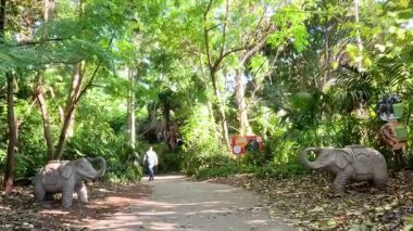 Ziyaretçiler yemyeşil bir hayvanat bahçesi yolunda yürüyor