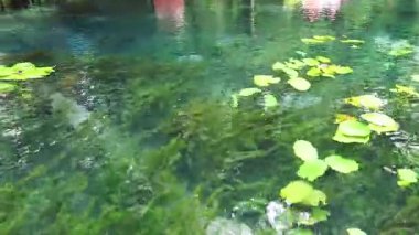 Krabi 'nin berrak sularında sakin bir kano yolculuğu.