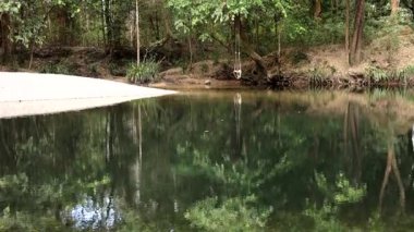 Bir gölet boyunca yayılan dalgalanma dizisi