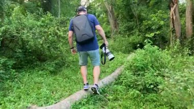 Yemyeşil orman yolunda yürüyen bir adam