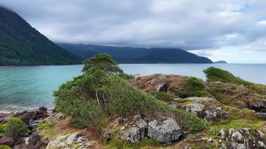 Bereketli yeşillikler ve kayalık kıyılar bulutlu bir gökyüzünün altında turkuaz sularla buluşup Thornton Sahili 'nin huzur dolu güzelliğini gözler önüne seriyor.